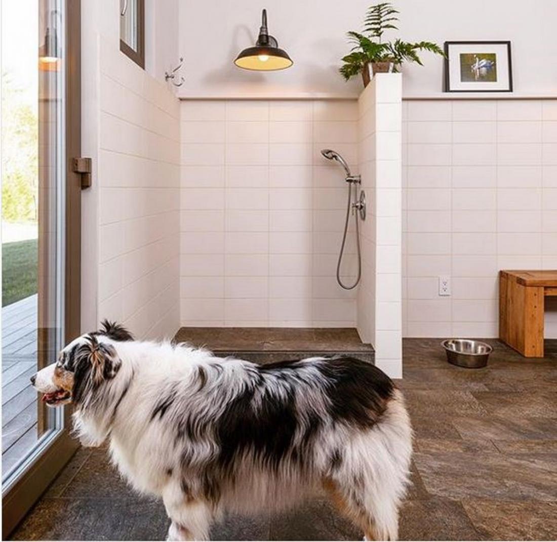 Poseben tuš za pse, umeščen v vežo. Foto: Instagram/bdarchitects