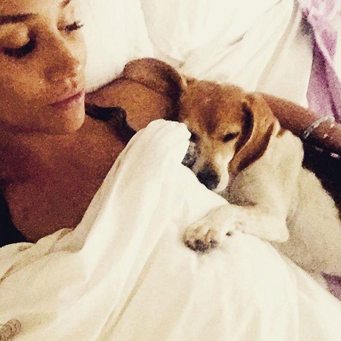  Meghan in njen posvojeni beagle Guy. FOTO: Meghan Markle/Instagram 