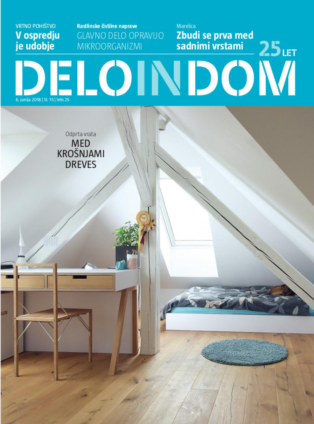 Naslednja številka priloge Deloindom bo Delu in Slovenskim novicam priložena 20. junija 2018.