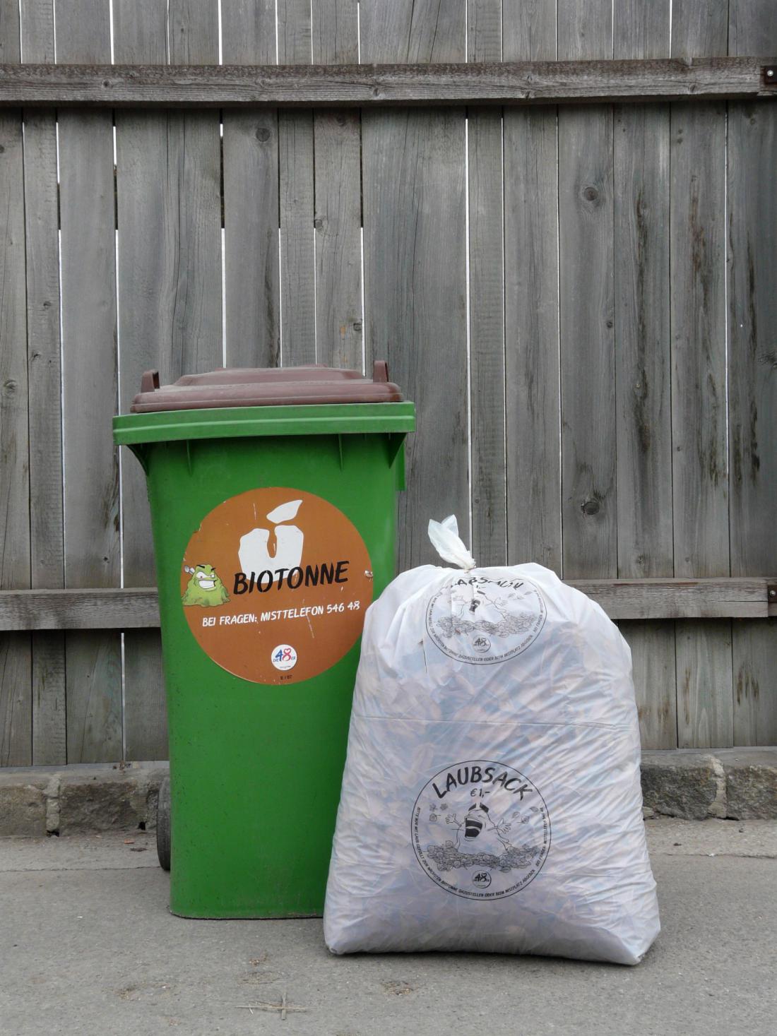 Smetnjak za biološke odpadke in vreča za listje. FOTO: MA 48